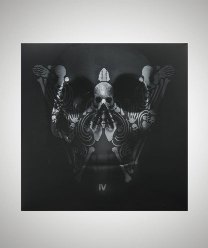 DER W IV Vinyl (2LP)